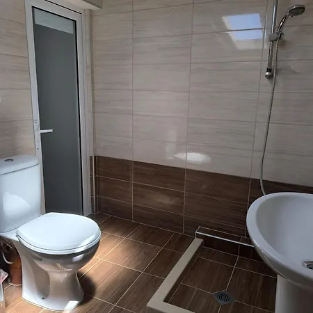 делфини * Varna