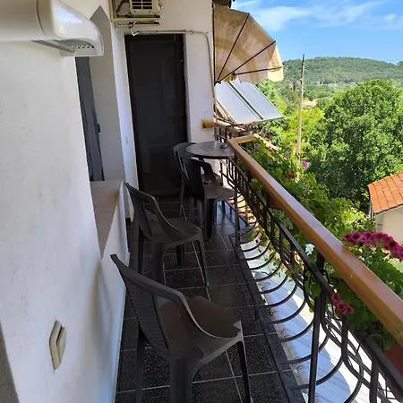 делфини Várna