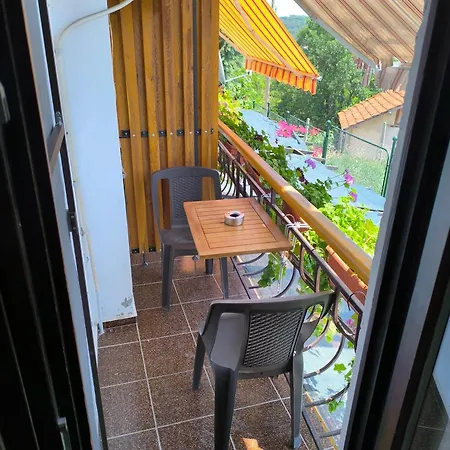 Couette-café делфини Varna