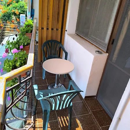 Couette-café делфини