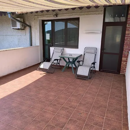 делфини * Várna