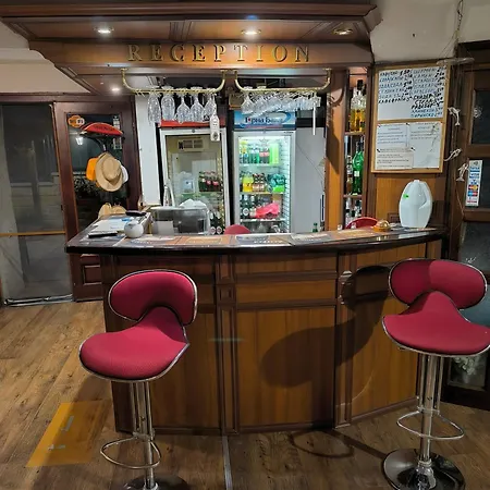 делфини Panzió