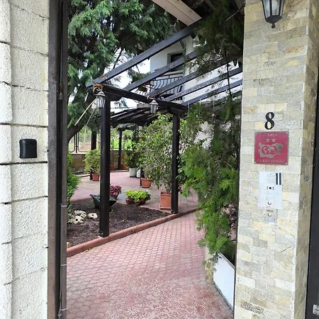 делфини Panzió *