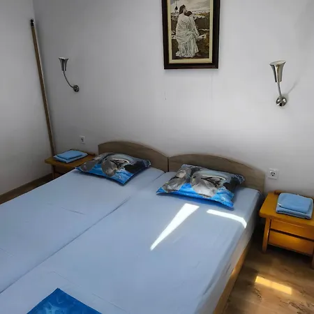 делфини Várna