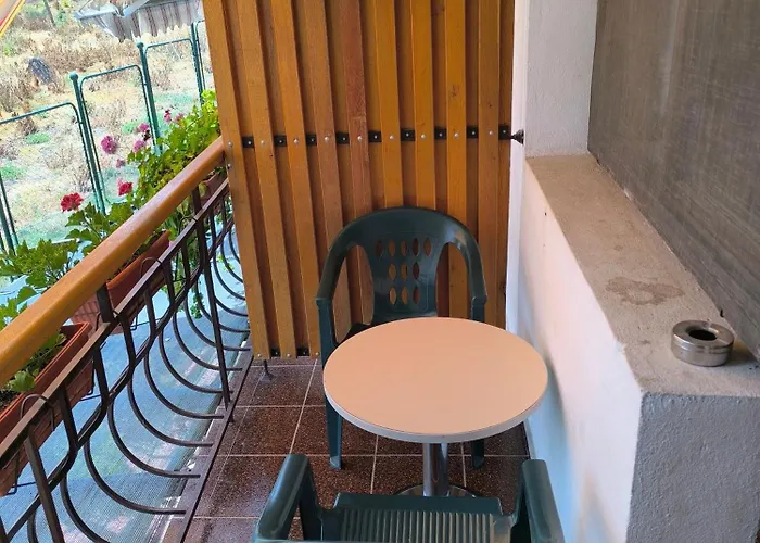 делфини * Varna