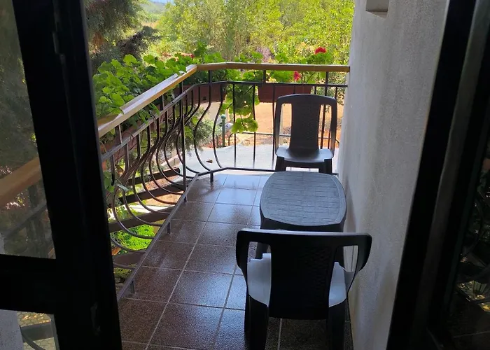 делфини Varna