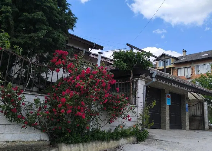 делфини Varna