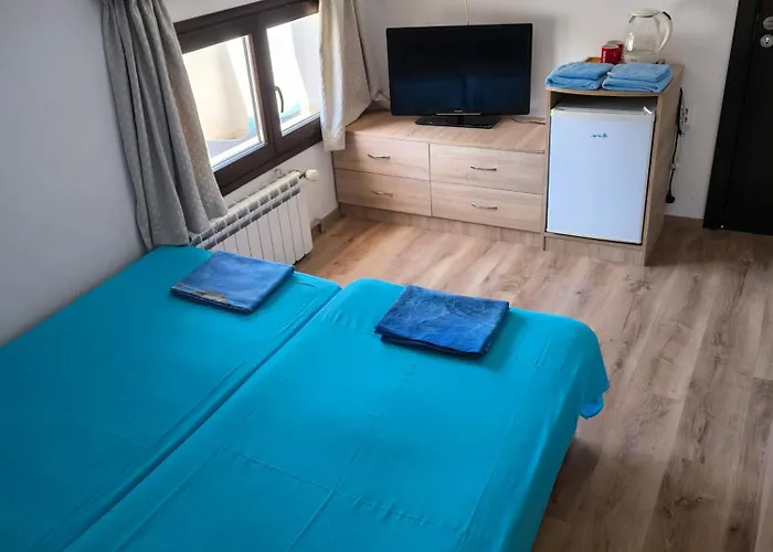 делфини Varna