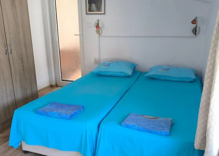 делфини Couette-café Varna