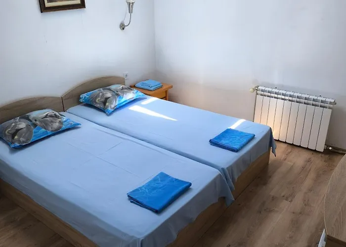 Couette-café делфини *