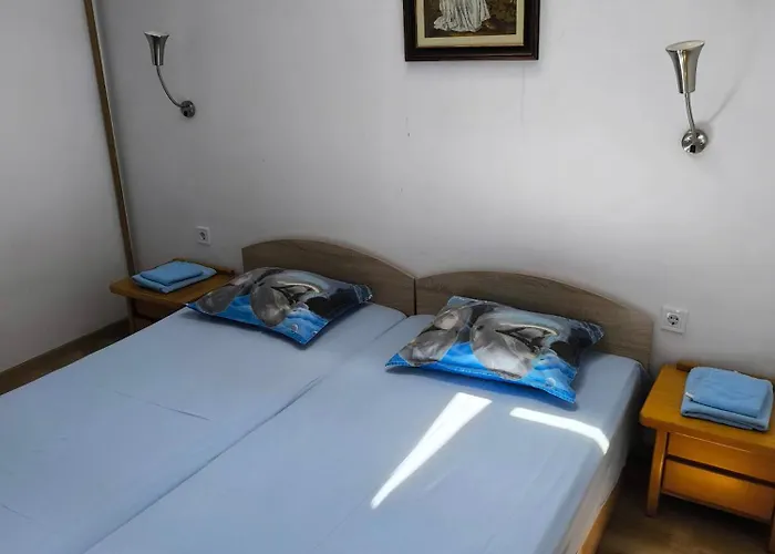 делфини Varna