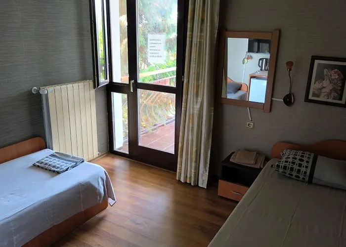 делфини * Varna