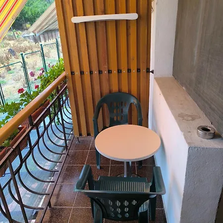 делфини * 바르나