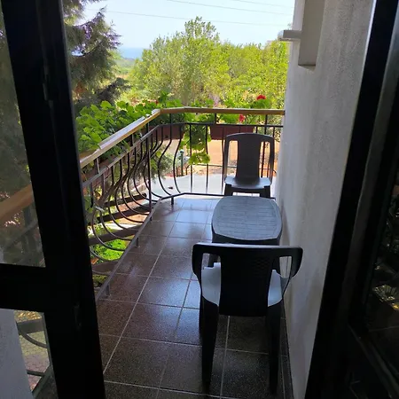 делфини 바르나