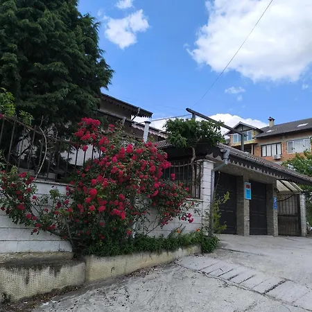 делфини 바르나