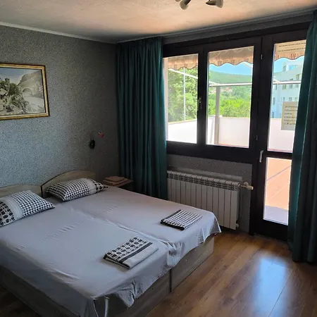 делфини B&B 바르나