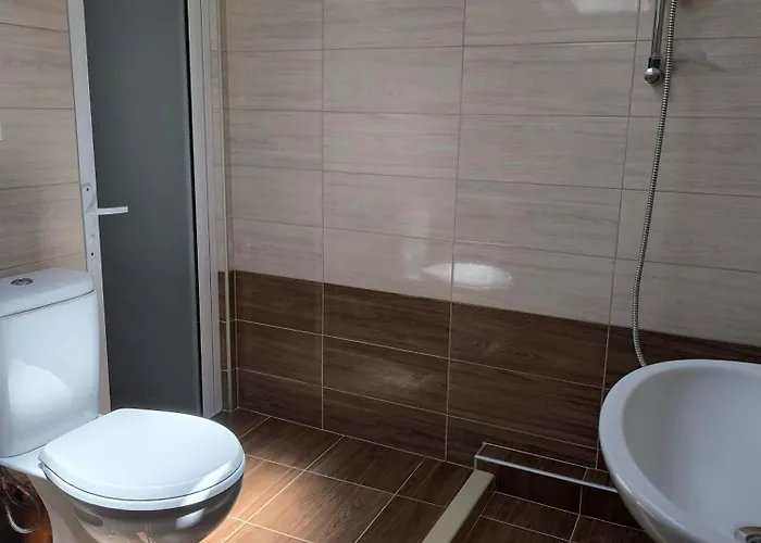 делфини * Varna