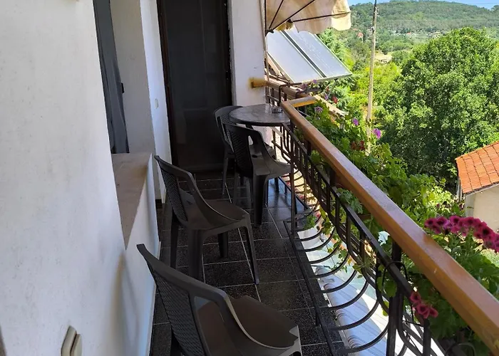 делфини Varna