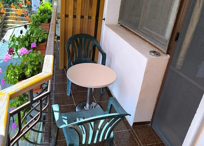 Bed and breakfast делфини