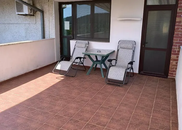 делфини * Varna