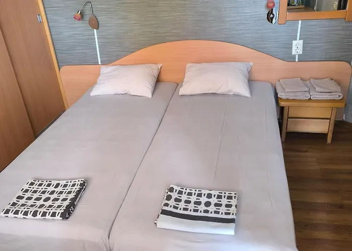 Bed and breakfast делфини